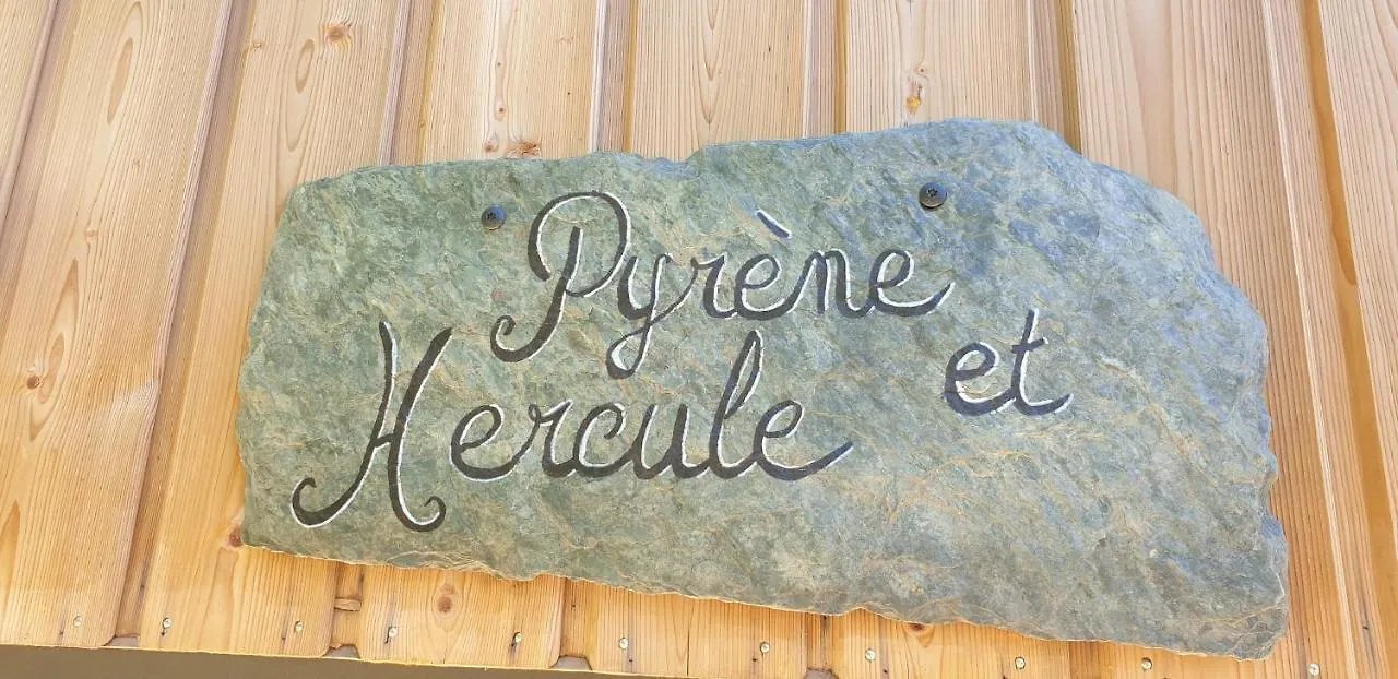 Le Chalet De Pyrene Et Hercule アリニャック アパート